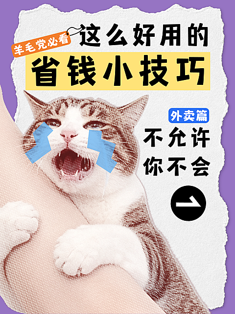 省钱技巧小红书封面/配图热梗/表情包