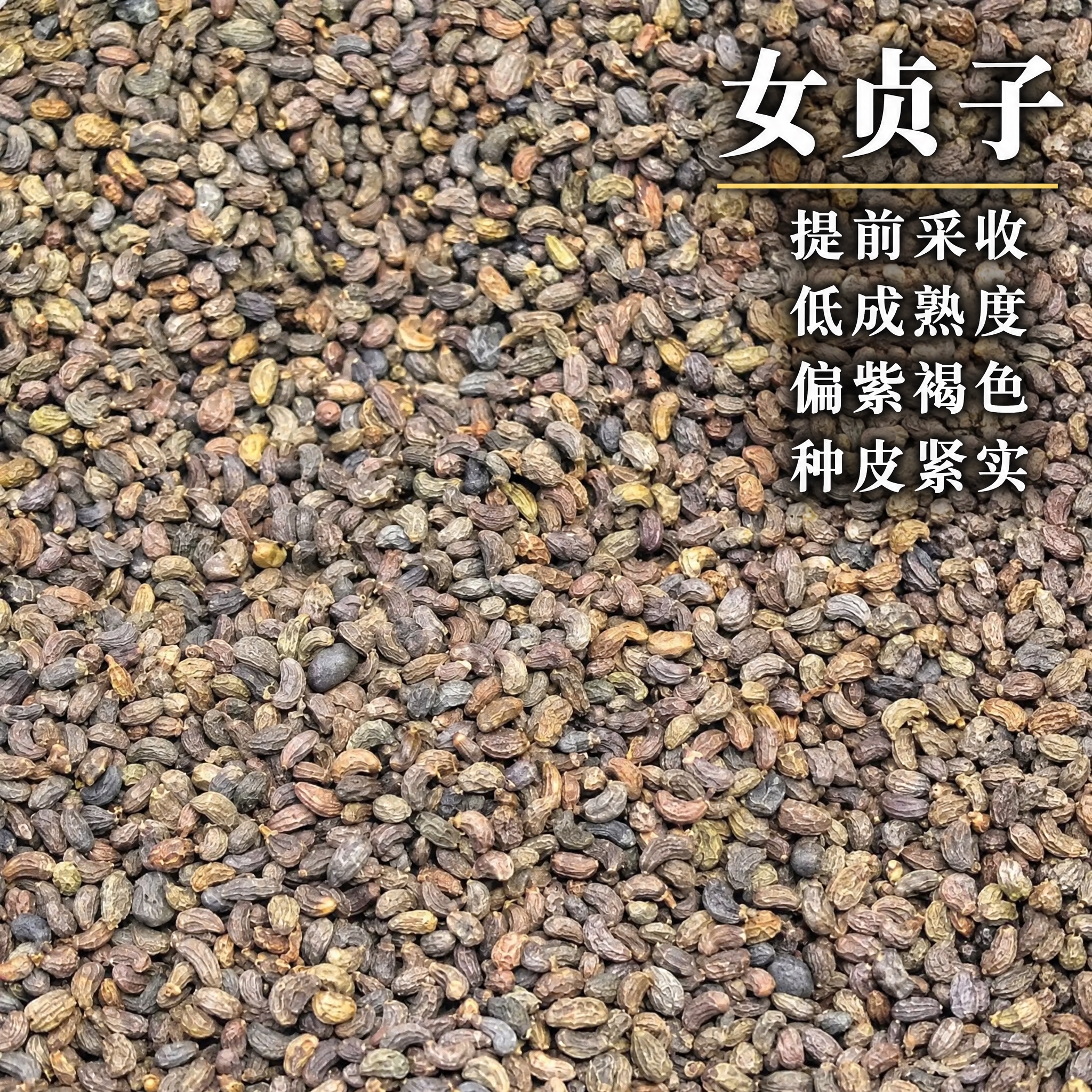 以上传的图片为唯一基底，原图画面 100% 保持不变：不改变、… - 图片创意预览
