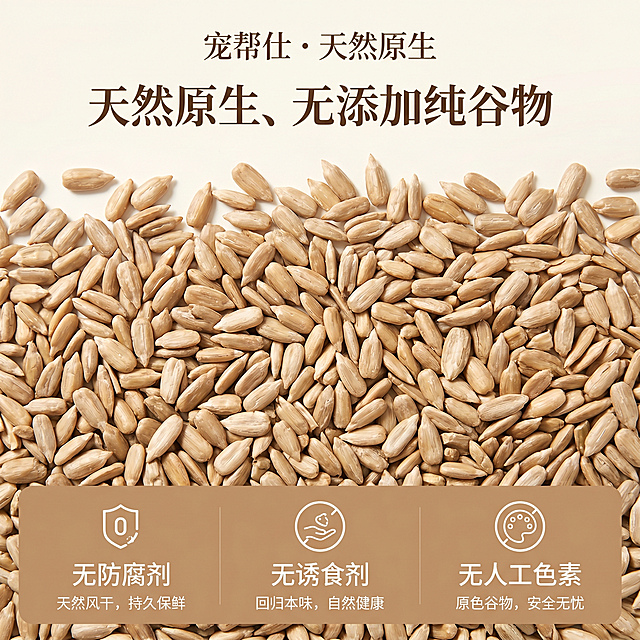 1:1 正方形电商主图，宠帮仕油葵籽安全卖点海报，纯净米白色背景，油葵籽铺满画面，底部三栏展示卖点："无防腐剂"、"无诱食剂"、"无人工色素"，搭配简约图标，主打"天然原生、无添加纯谷物"的安心喂养理念，整体低饱和暖棕色调，柔光均匀，和主图风格完全统一，简约轻奢