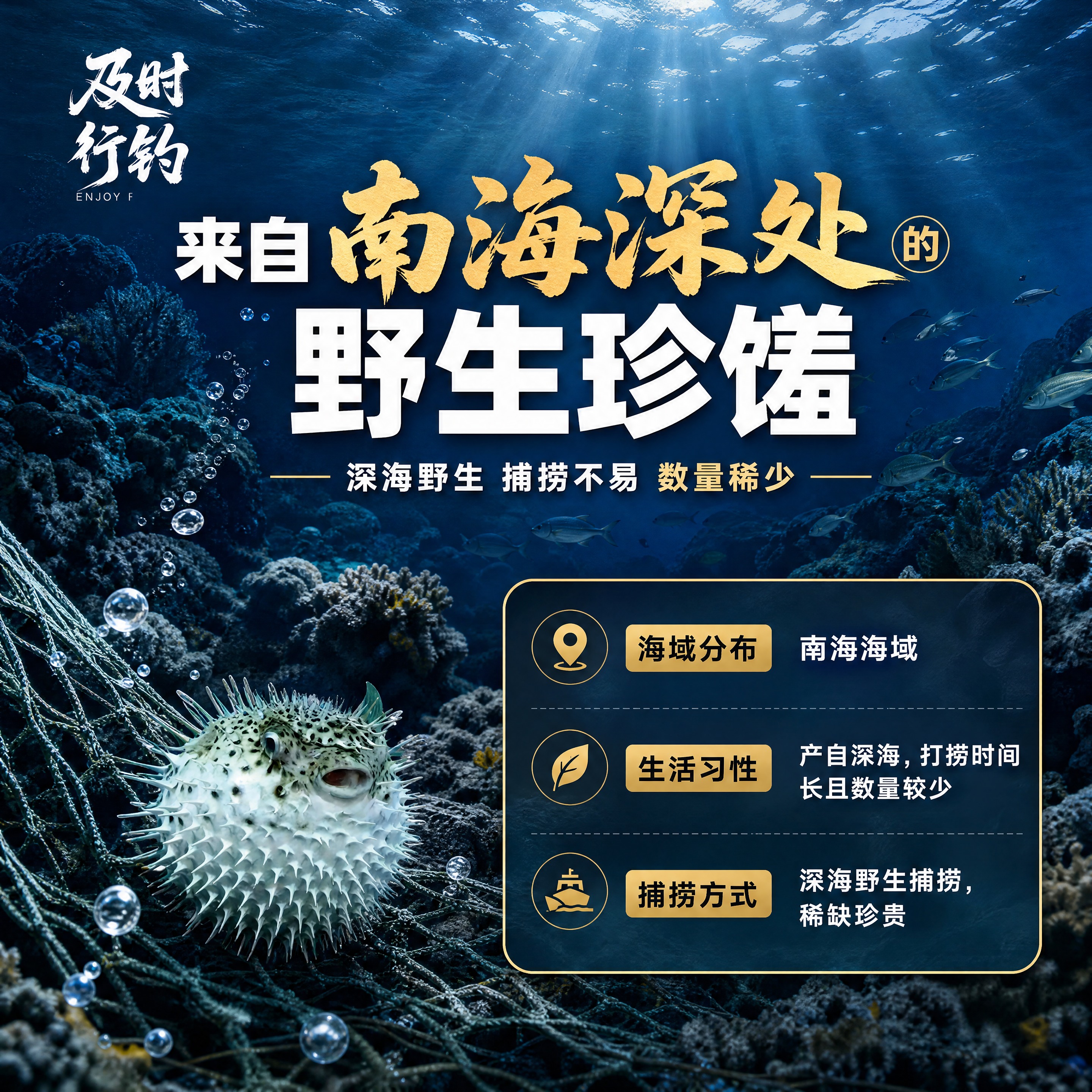 [商品] 使用【图1】野生刺鲍鱼；保留刺鲍鱼圆鼓形态、全身尖刺… - 图片创意预览