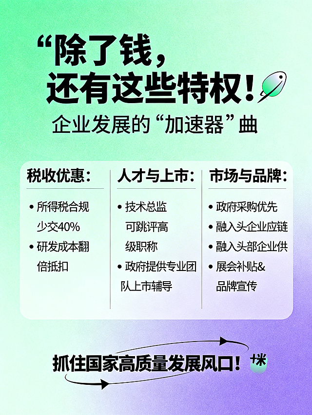 企业福利宣传卡片，背景采用清新绿色渐变紫色，现代简约设计，营造轻松阅读氛围。主标题文字"除了钱，还有这些特权！🎁"，副标题文字"企业发展的"加速器"🚀"，核心内容：税收优惠：• 所得税合规少交40% • 研发成本翻倍抵扣；人才与上市：• 技术总监可跳评高级职称 • 政府提供专业团队上市辅导；市场与品牌：• 政府采购优先 • 融入头部企业供应链 • 展会补贴 & 品牌宣传，底部引导文字"抓住国家高质量发展风口！💪"，整体体现赋能和未来感。