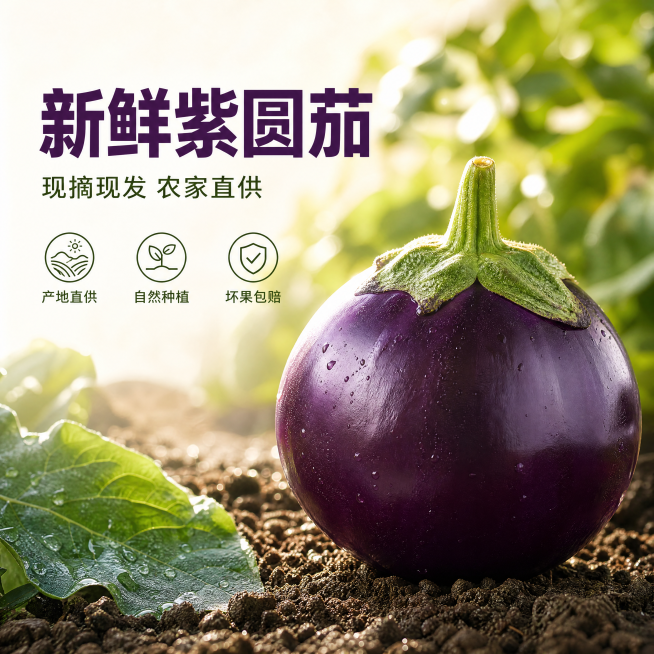 [单张主图] 紫皮圆茄子 电商主图，高级氛围感路线，打造新鲜蔬菜食欲感主图。
[构图版式] 采用左文右物场景型版式，左侧保留大面积留白放置文案，产品放右侧放大，底部用原生菜园泥土承托。
[画面主体]预览效果