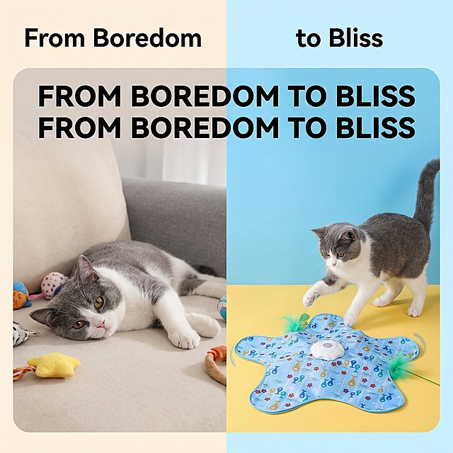 欧美跨境电商对比图，左侧展示猫咪无聊发呆，右侧展示猫咪玩自动逗猫游乐盘活力十足，突出英文文案"From Boredom to Bliss"，左右分栏布局，无白底，画面无多余图片