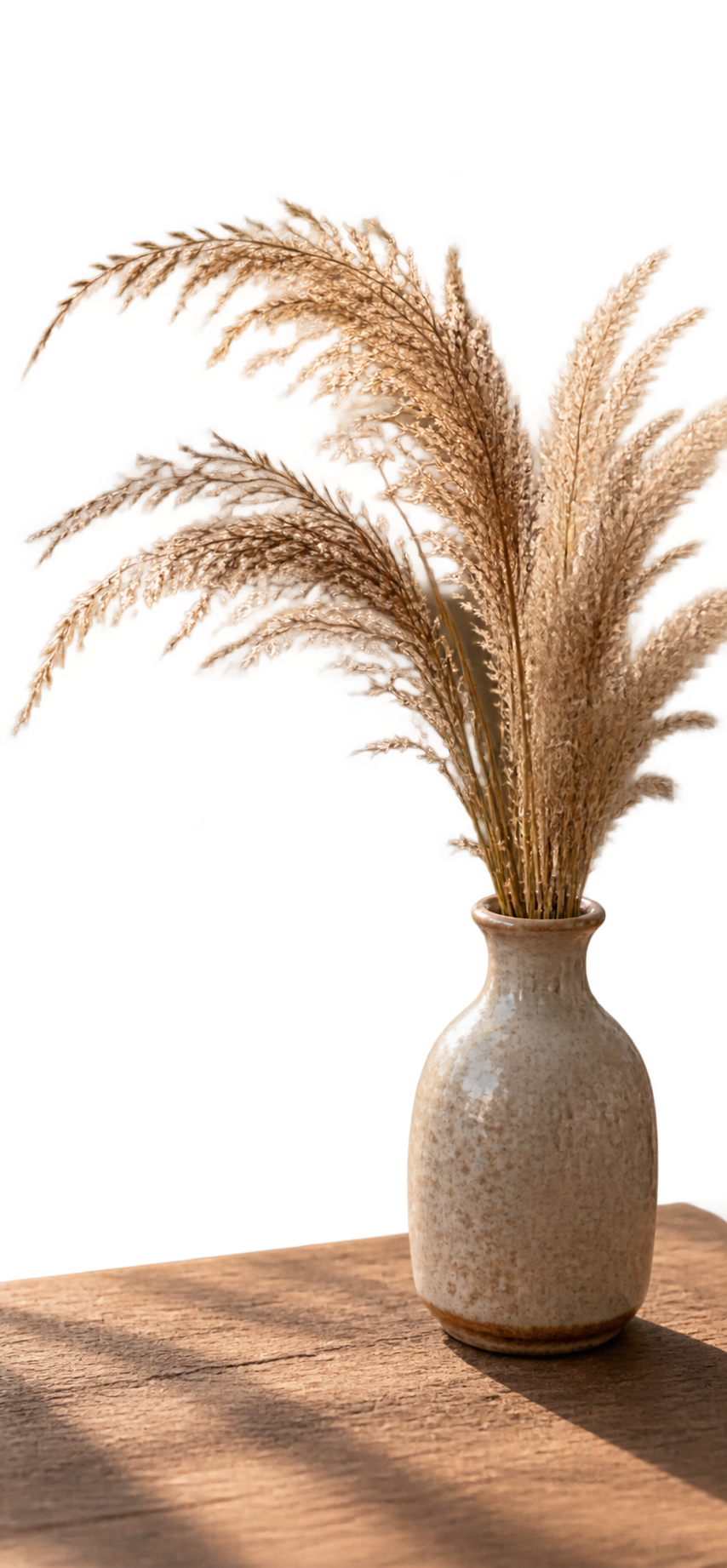 从参考图中提取右侧的陶瓷花瓶及干燥芦苇花（一盆花盆及花），透明… - 图片创意预览
