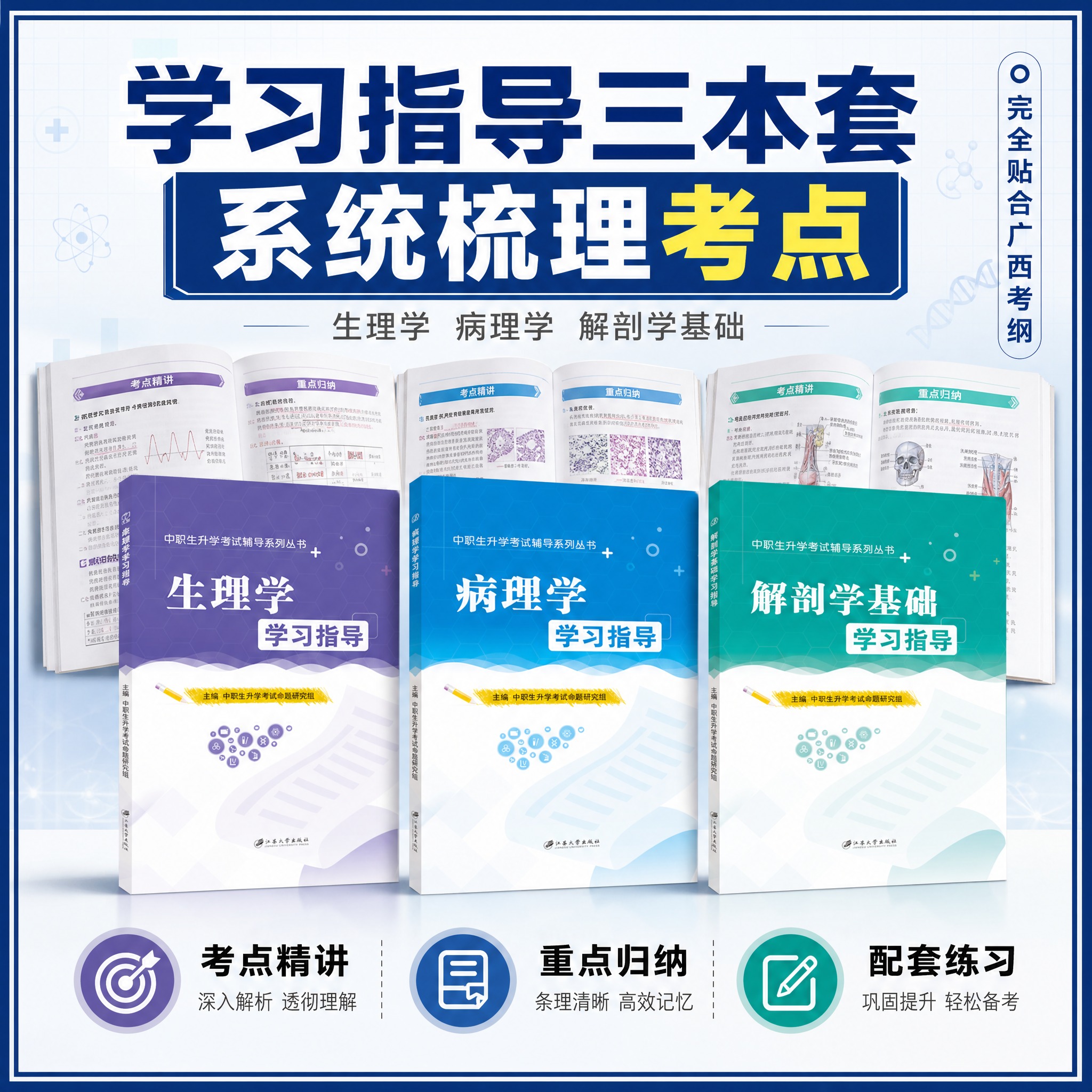 [主图-2] 生理学、病理学、解剖学学习指导三本单独展示，突出… - 图片创意预览