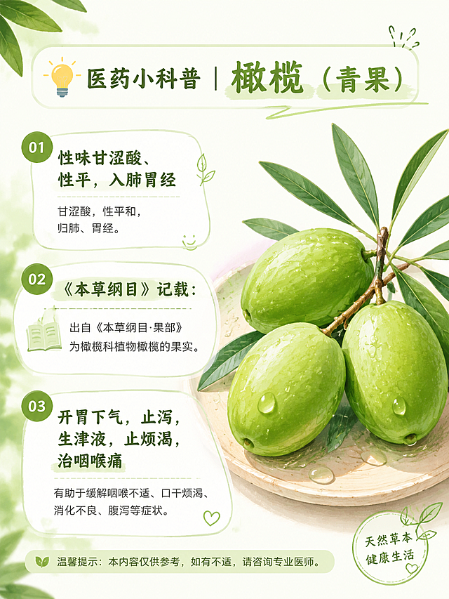 清新治愈插画风格，医药小科普配图，标题文字"💡医药小科普｜橄榄（青果）"，列出三点功效：性味甘涩酸、性平，入肺胃经；《本草纲目》记载：开胃下气，止泻，生津液，止烦渴，治咽喉痛；画面放几颗新鲜青橄榄，暖绿色清新排版，适合小红书科普配图