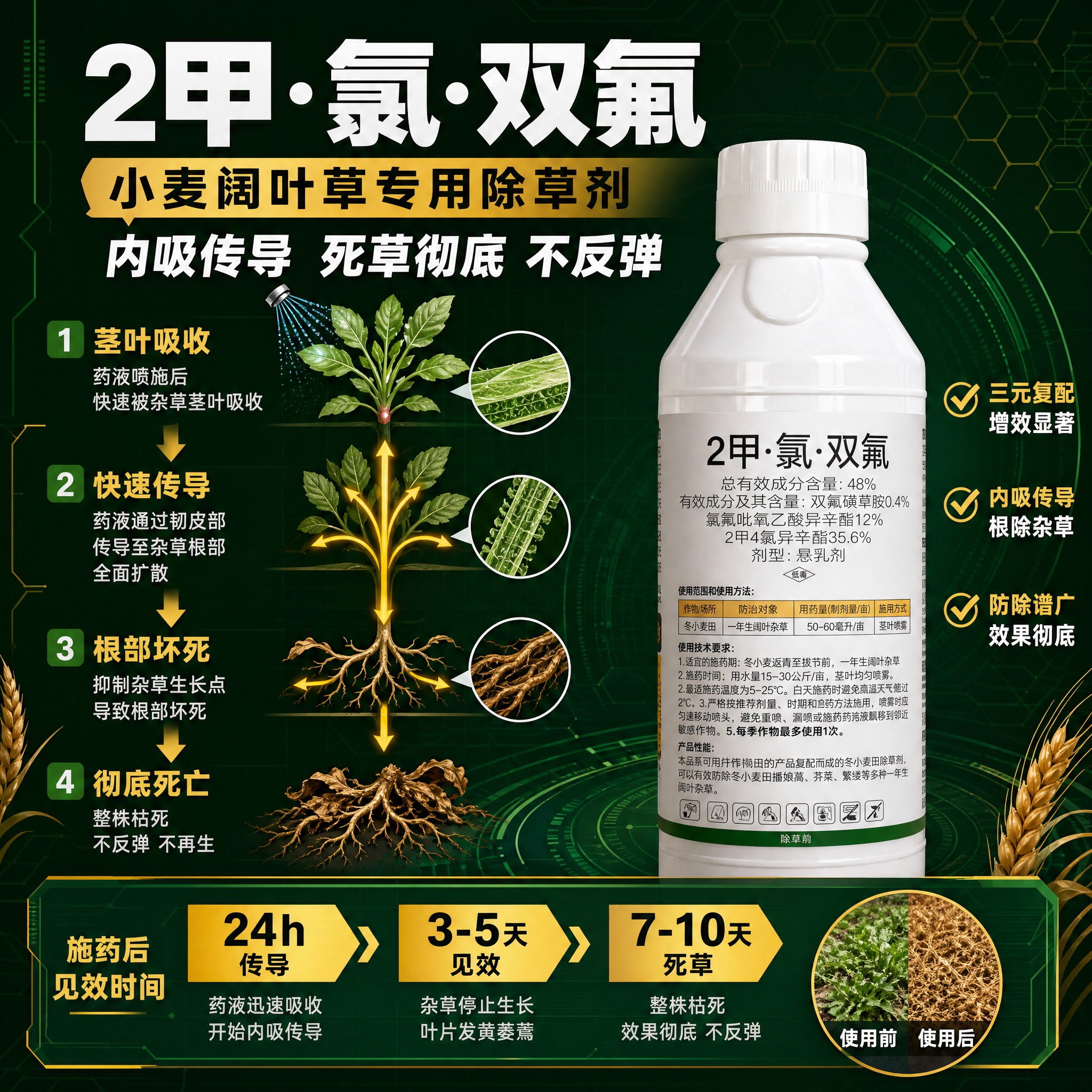 [主图-9] 2甲·氯·双氟 小麦阔叶草专用除草剂 作用机理与… - 图片创意预览