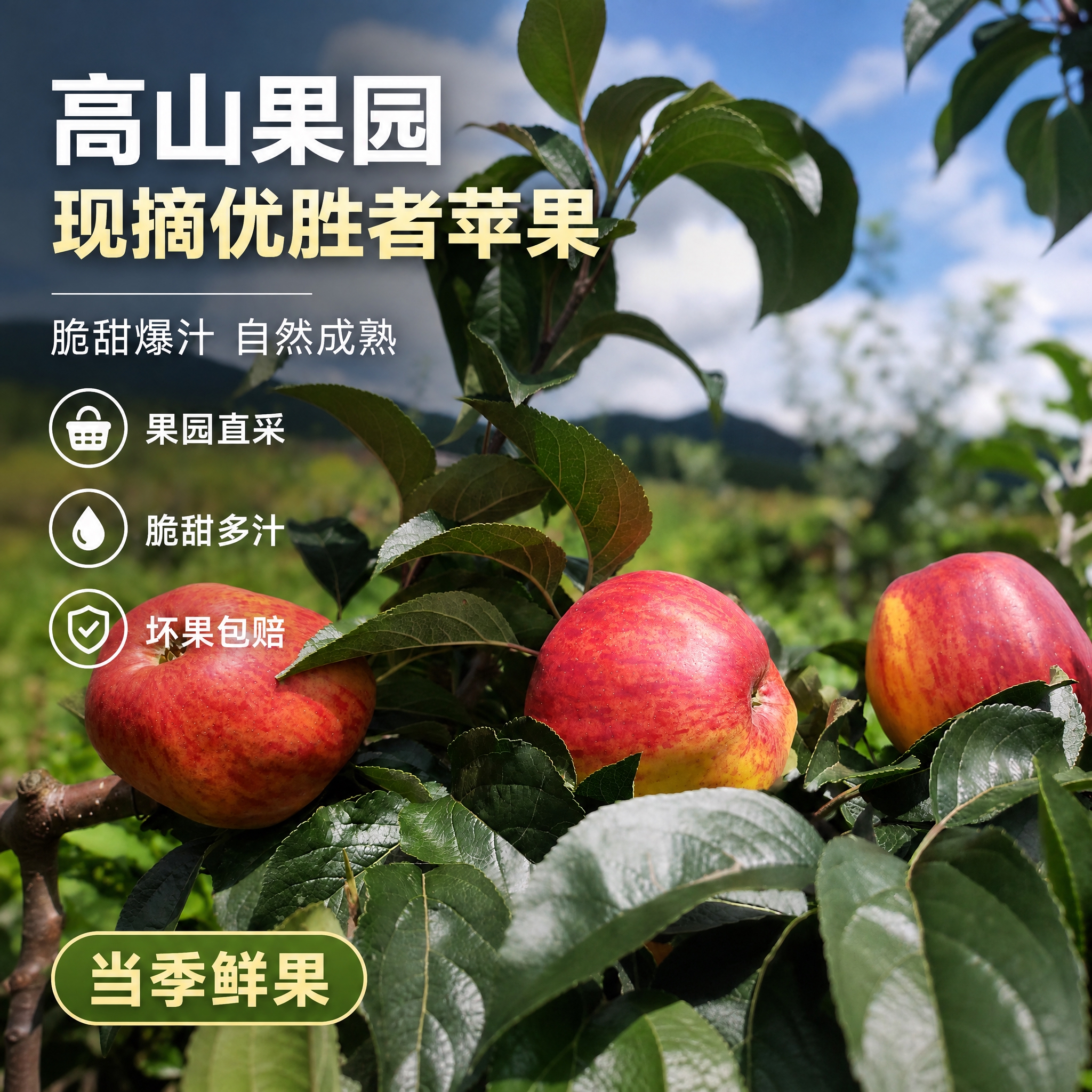 在原图基础上直接使用 不修改苹果外观和场景构图 仅将文字中的红… - 图片创意预览