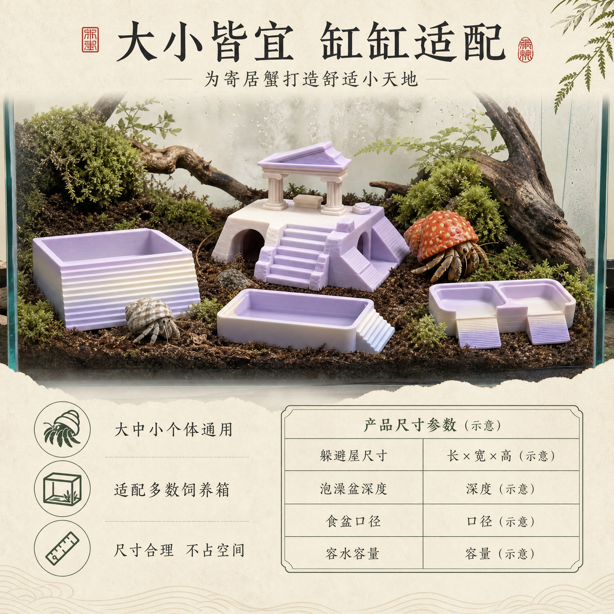 [主图-6] 适用场景与尺寸适配，大中小寄居蟹通用多数饲养箱。… - 图片创意预览
