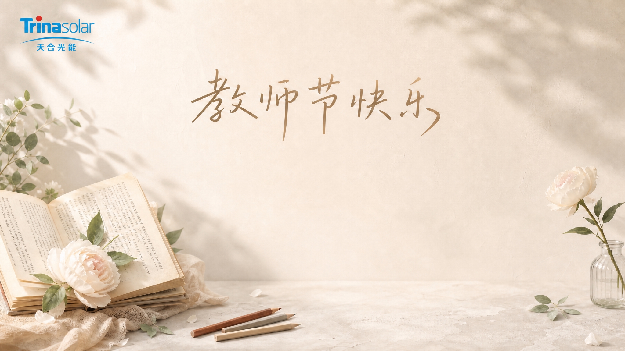 在画面左上角添加天合光能TrinaSolar的logo，log… - 图片创意预览