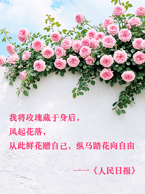 激励正能量文案分享清新实景风小红书封面