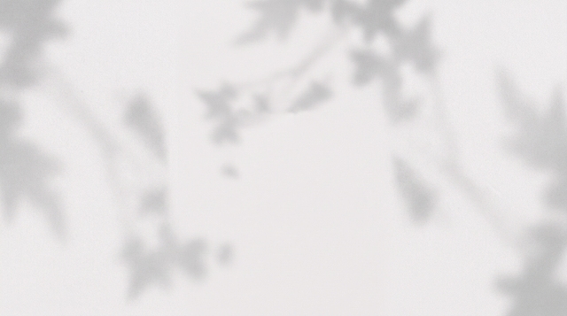 参考原图风格，生成一张横版浅灰白色背景，带有自然模糊的植物叶子阴影，带有噪点颗粒质感，比例为2:1