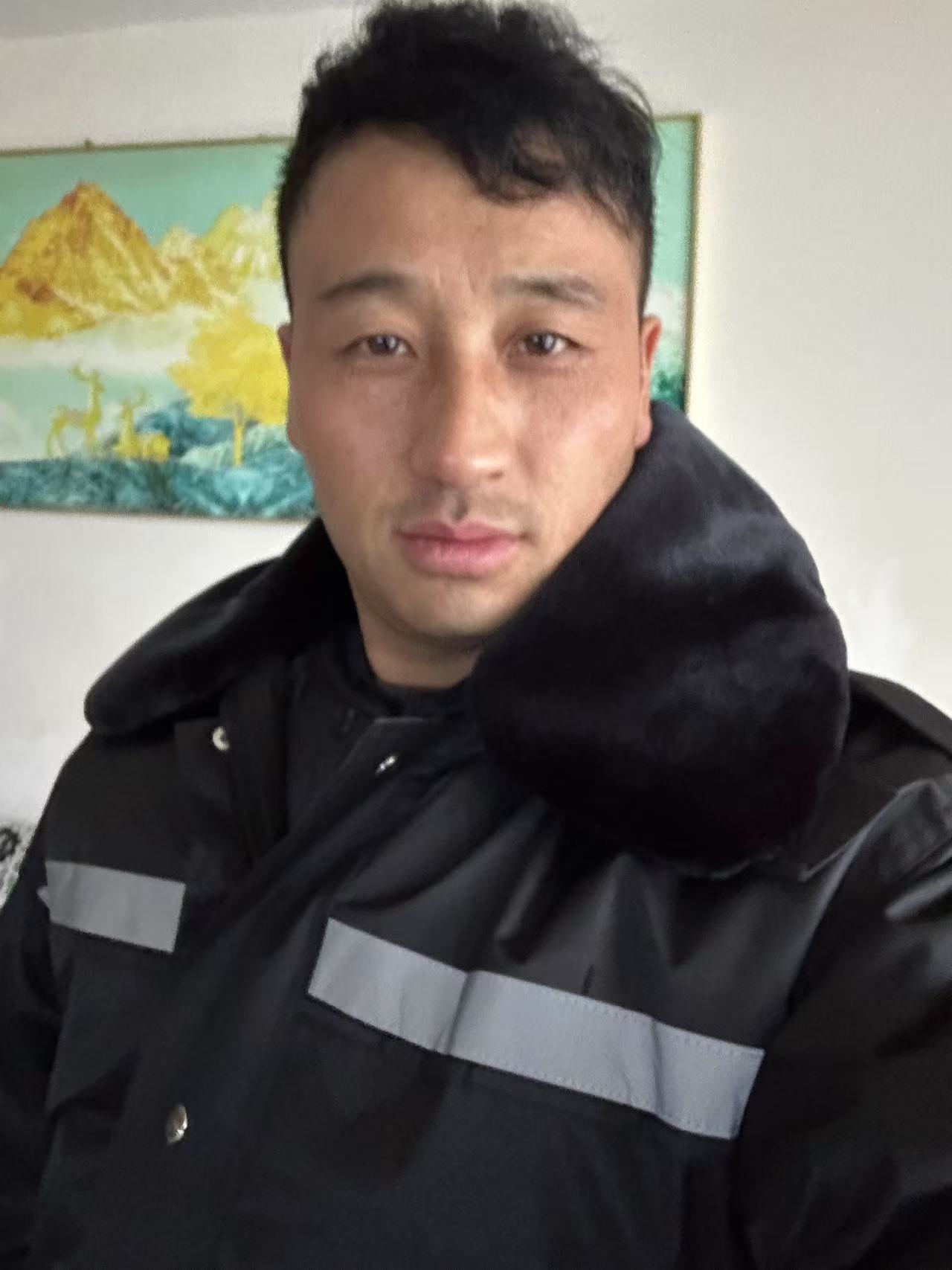 模板预览图