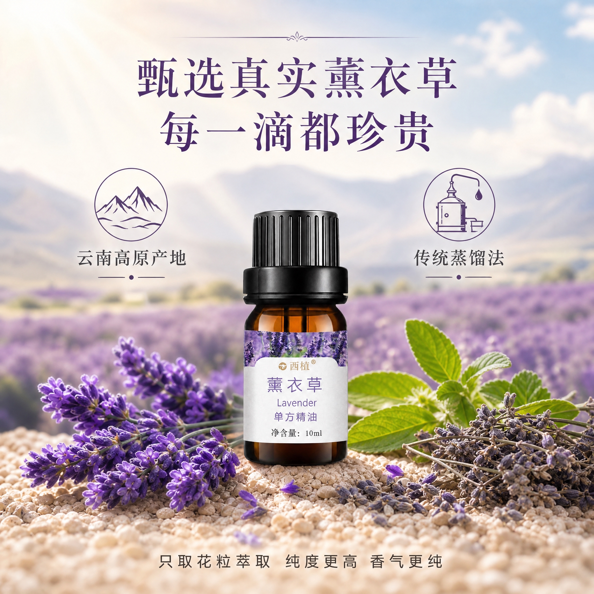 品质优势-云南高原真实薰衣草+传统蒸馏法，产地工艺背书。京东品… - 图片创意预览