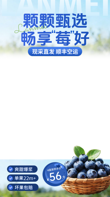 蓝莓食品生鲜电商零售直播间贴片预览效果