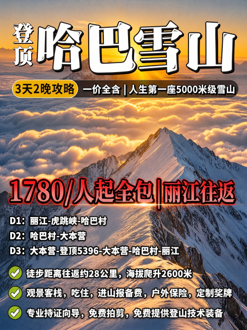 预览效果