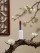 模板预览图