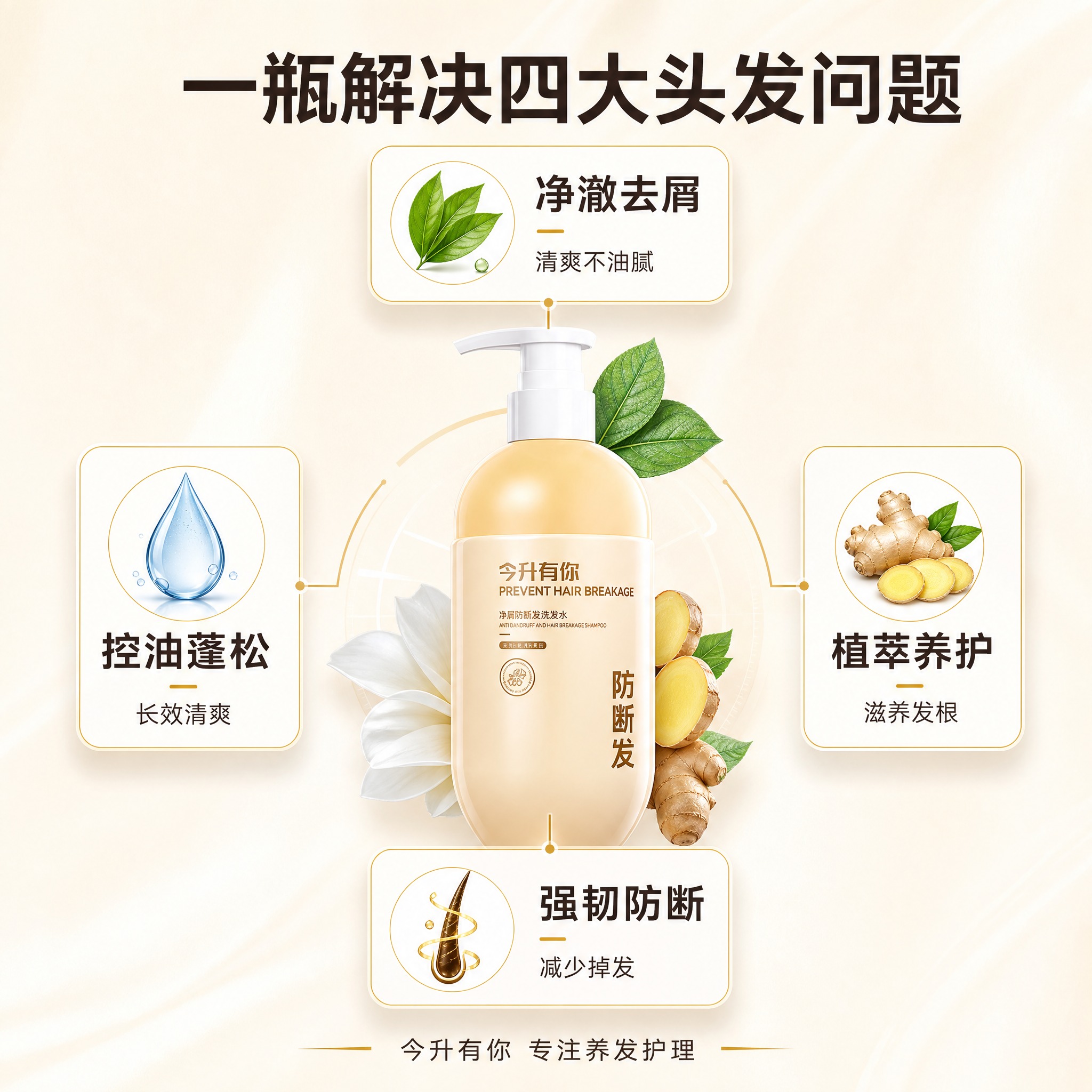 [主图-4] 多效卖点总结，四大核心功效可视化呈现，强化购买理… - 图片创意预览