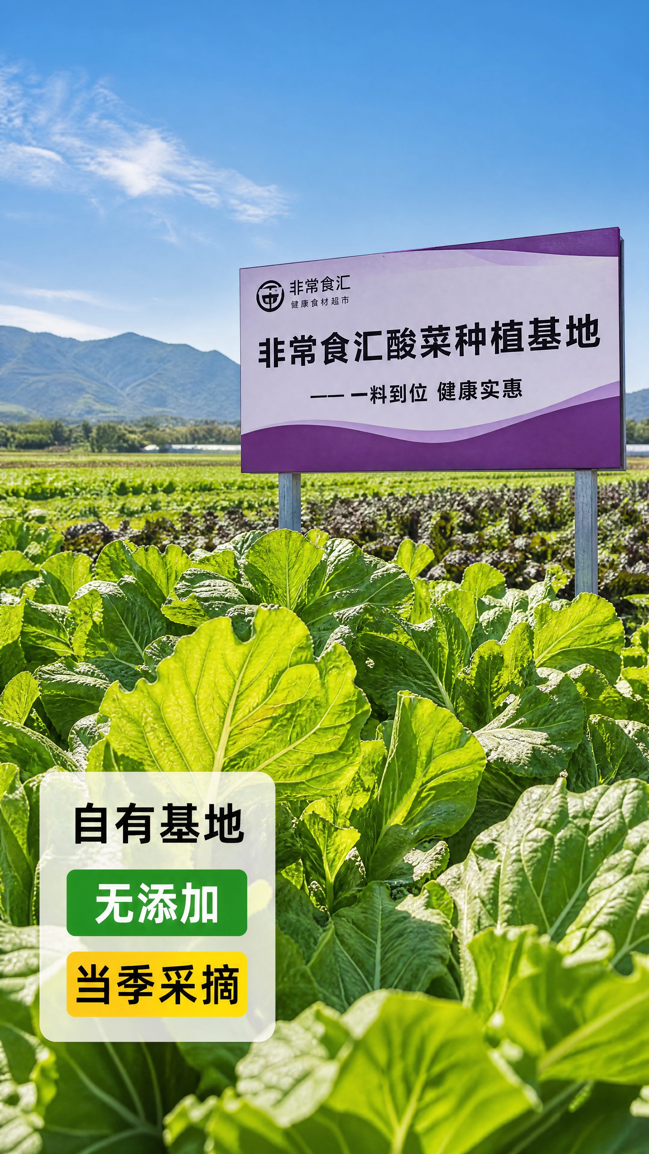 [第2屏]产地溯源屏-非常食汇酸汤调味料原料基地实拍。 [氛围… - 图片创意预览