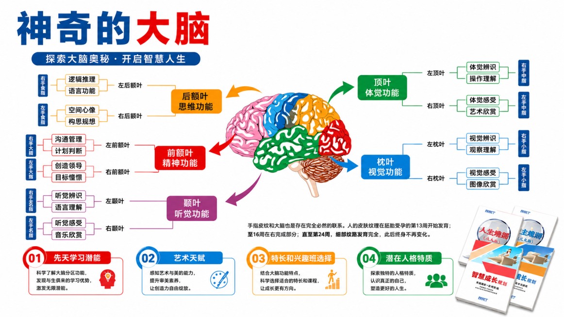 去除当前的蓝色波浪背景色，改为纯白色背景；按照最初提供的参考图修改所有文字内容，恢复原本的文字和分区信息，保持排版干净清晰预览效果