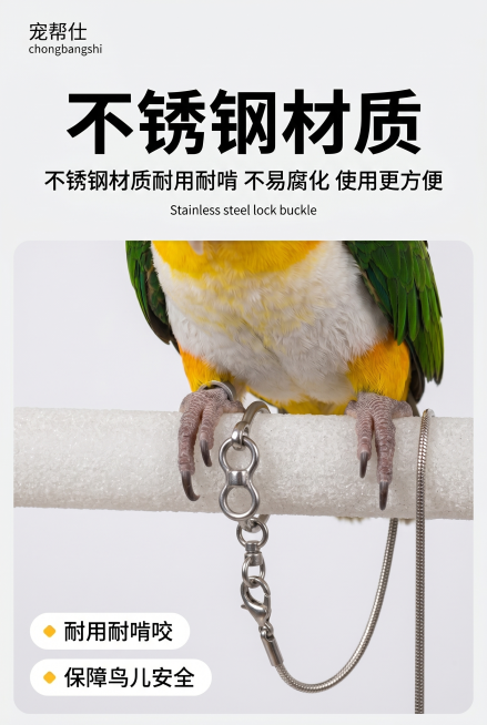 左上角预留品牌小字：宠帮仕 chongbangshi；800×1200px 竖版｜不锈钢耐啃材质卖点图，浅灰白色简约纯色背景；近距离微距拍摄金头白腹凯克鹦鹉脚部佩戴脚链细节，鹦鹉爪子抓握磨砂包裹站杆，预览效果