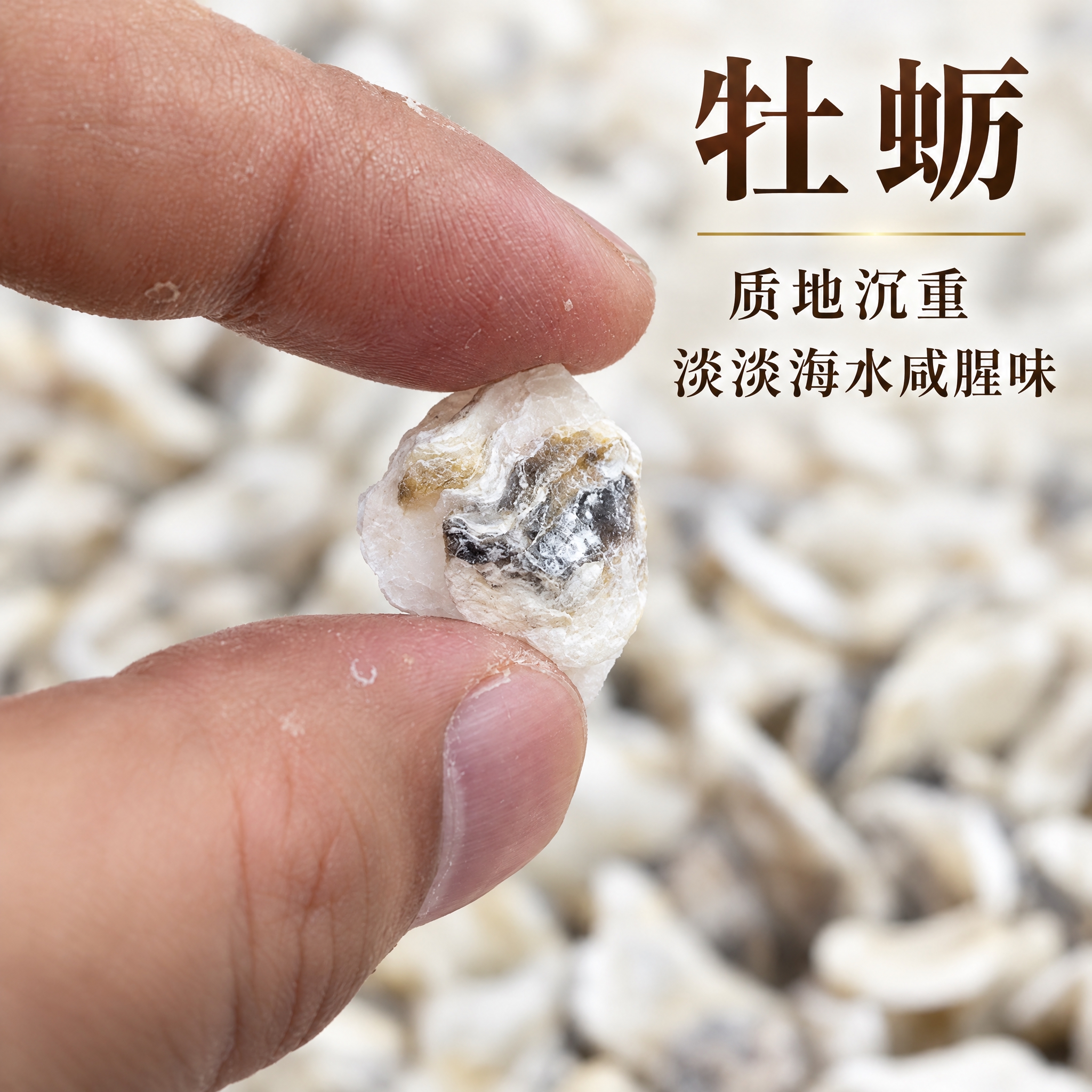 基于上传的牡蛎素材进行主图创作，严格使用上传素材，完整保留原图… - 图片创意预览
