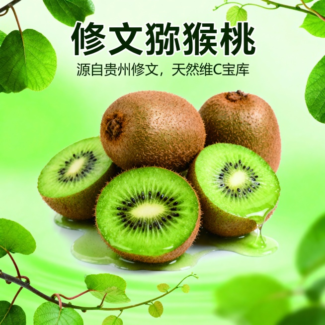 修文猕猴桃海报预览效果