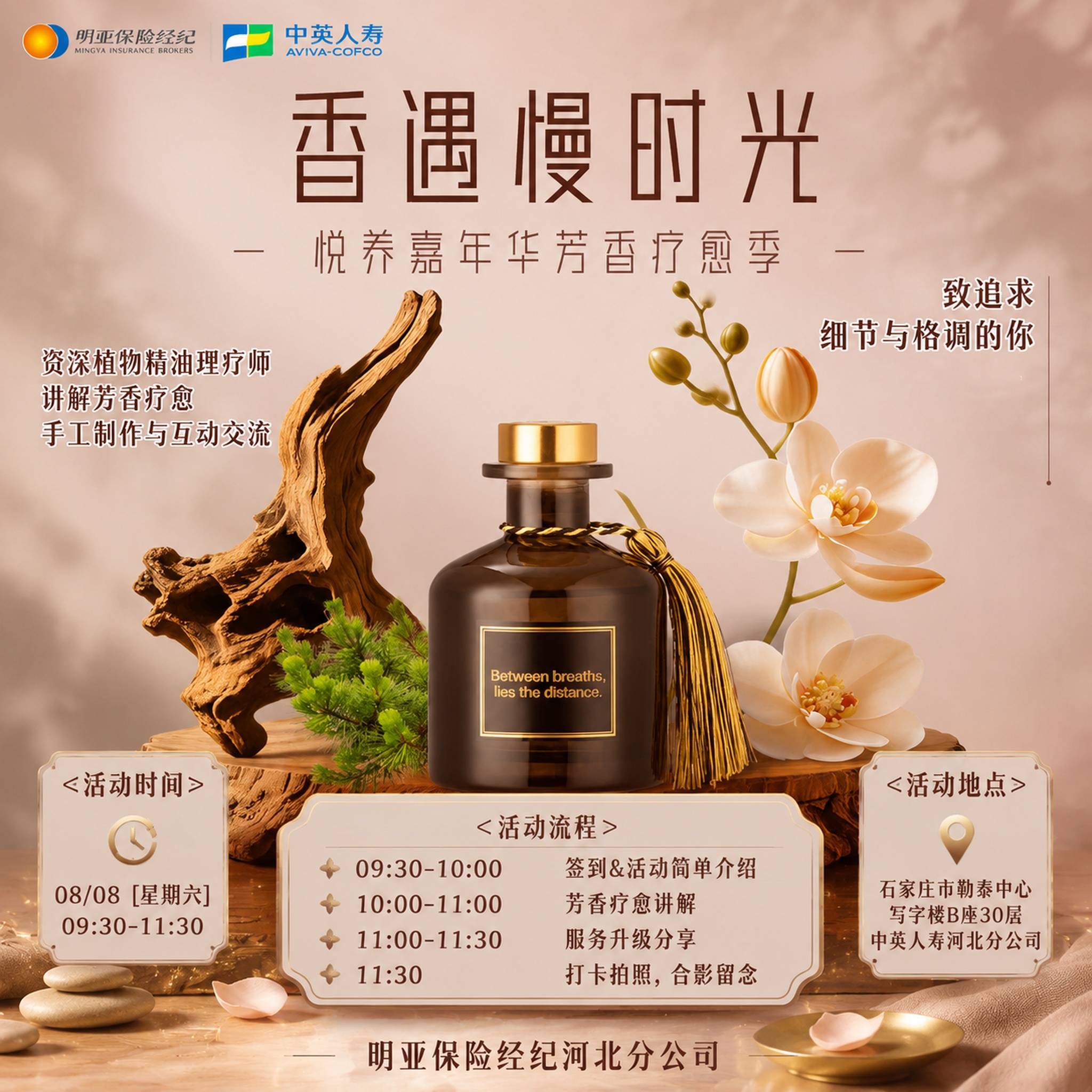 基于参考图进行重绘设计，生成一张300x300像素的正方形活动… - 图片创意预览