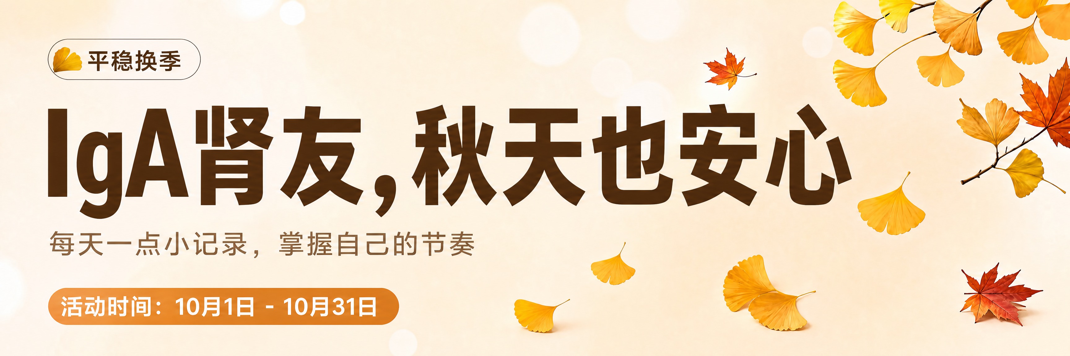 将主标题"IgA肾友，秋天也安心"的字号明显放大，成为画面最醒… - 图片创意预览