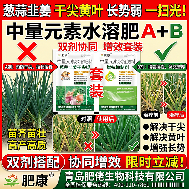🌱 肥康 葱蒜韭姜干尖绿+增抗抑制剂 产品介绍
 
这是青岛肥佬生物科技有限公司推出的葱蒜韭姜专用中量元素水溶肥料套装，包含A剂「葱蒜韭姜干尖绿」和B剂「增抗抑制剂」，专为大葱、大蒜、韭菜、生姜、洋葱等鳞茎类作物设计，主打解决干尖黄叶、长势弱、产量低等种植痛点。
 
 
 
一、核心功效
 
✨ A剂「葱蒜韭姜干尖绿」
 
- 苗齐苗壮，预防干尖黄叶，让叶片浓绿厚实，缓解生理性焦边问题。
​
- 保嫩增重，延长采摘期，延缓植株早衰，保持茎叶鲜嫩状态，提升整体产量。
​
- 促进茎叶伸长、挺拔顺直，预防缺素导致的生长缓慢、畸形等问题。
 
🛡️ B剂「增抗抑制剂」
 
- 快速补充中微量元素，纠正缺素黄化、生长不良等问题。
​
- 增强作物抗寒、抗旱、抗病虫害的能力，降低逆境对植株的伤害。
​
- 改善鳞茎（蒜头、姜块、葱杆）的饱满度、色泽和口感，提升商品率和最终产量。
 
 
 
二、通用使用方法（套装A+B）
 
1. 基础用法用量
 
每一组（A剂1袋+B剂1袋）兑水30斤（15公斤），搅拌均匀后叶面喷雾；也可兑水300倍进行灌根或冲施，两种方式都能达到不错的效果。
 
2. 适用时期与喷施建议
 
- 苗期/返青期：喷施1次，促根壮苗，预防早期干尖、黄化问题。
​
- 生长期/旺长期：每7-10天喷1次，连续2-3次，促进茎叶生长，预防干尖、拉直拉长。
​
- 鳞茎膨大期：喷施1-2次，保叶防早衰，促进鳞茎膨大，增重提质。
​
- 采收前：采收前10-15天喷施1次，延长叶片功能期，减少早衰黄叶。
 
3. 关键使用技巧
 
- 喷施时以叶片正反面均匀湿润、不滴水为宜，重点喷施中下部叶片和茎杆部位。
​
- 选择晴天上午10点前或下午4点后喷施，避开正午高温时段，减少药液蒸发。
​
- 可与非碱性农药、肥料混用，混用前建议先做小范围兼容性试验，避免影响效果。
​
- 两次喷施建议间隔7-10天，连续使用效果更稳定。
 
 
 
三、注意事项
 
1. 密封存放在阴凉干燥处，远离儿童和食品；如不慎接触皮肤或眼睛，立即用清水冲洗。
​
2. 避免在雨天、大风天或正午高温时喷施，喷后4小时内遇雨需要补喷。
​
3. 该产品专为葱、蒜、韭菜、生姜、洋葱等鳞茎类作物设计，不建议在非目标作物上盲目使用。
​
4. 配合合理的水肥管理和病虫害防治，能让产品效果发挥得更充分。
 
 
 
💡 小提示：这套产品的核心优势是双剂协同增效，A剂主攻干尖、黄化、拉直，B剂负责补充营养、提升抗性，搭配使用能同时解决葱蒜韭姜种植中最常见的干尖黄叶、长势弱、产量低、早衰快等问题。「图片1」以此图片为基础生成10张电商主图。适配拼多多平台，主图比例为1:1