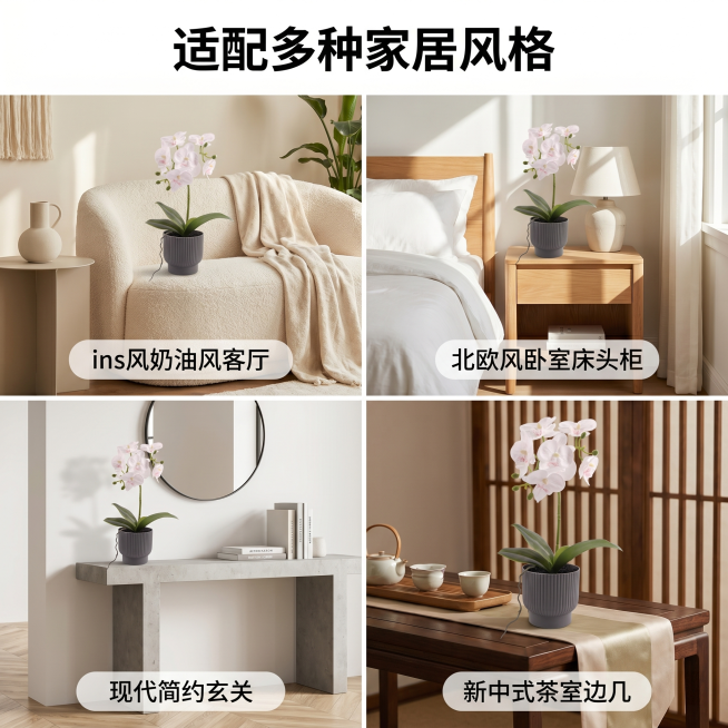 [主图 5] 多风格适配展示图。
[氛围风格] 整体展示多风格适配性，现代简约干净；
[画质] 高清商业摄影，每个场景清晰自然，整体协调统一。
[元素] 四格拼图展示，分别展示蝴蝶兰适配四种不同家居风预览效果