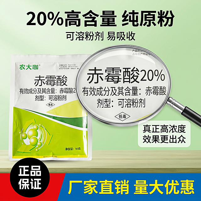 [主图 3] 王友福赤霉酸生根剂成分细节展示图，风格与整套主图统一；[氛围风格] 专业可信，突出成分纯度；[画质] 商业摄影质感、光线柔和通透、产品清晰真实、画面干净高级；[元素] 保持产品包装袋外观与输入产品图绝对一致，杜绝任何变形和色差，精细化处理。产品主体放置在画面下方偏左，上方用放大镜效果特写“赤霉酸20%”成分标识，清晰展示有效含量；背景为浅绿渐变干净简洁，画面满屏无边框；[光影] 特写区域光线加强，突出细节清晰度；[配色] 延续整体绿色清新风格，成分文字对比突出；[视角构图] 平视特写，主体突出，构图简洁不杂乱；[文字版式] 顶部主标题“20%高含量 纯原粉”黑色粗体大字；下方标注“可溶粉剂 易吸收”小字说明；右侧文字框说明“真正高浓度 效果更出众”，不遮挡产品和特写主体；[比例分辨率] 1:1 比例，2k 分辨率，文字清晰可辨，超高清；[负向提示词] 变形，水印，文字错乱，产品图模糊，背景杂乱，细节模糊