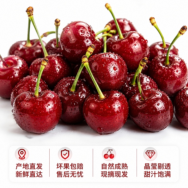[主图-6] 服务承诺展示，促进下单转化
[氛围风格] 干净清晰，信息直观
[画质] 商业摄影质感、光线柔和通透、产品清晰真实、画面干净高级，高清无水印
[元素] 一大丛新鲜饱满带水珠的邯山大樱桃铺满上半部分，保持樱桃颜色和质感和原图一致，无变形。下半部分留出空间放置服务承诺，整体构图均衡，主体樱桃占比约60%，背景纯白色干净清爽。
[光影] 均匀柔和自然光，整体明亮清晰。
[配色] 纯白背景搭配红色樱桃，文字深色清晰可读。
[视角构图] 樱桃主体在上，信息在下，分割清晰。
[文字版式] 底部半透明悬浮条均分四列，横向排列服务承诺文字：「产地直发
新鲜直达」「坏果包赔
售后无忧」「自然成熟
现摘现发」「晶莹剔透
甜汁饱满」，每个区块文字左对齐，颜色深红清晰，和背景对比明显。
[比例分辨率] 1:1 比例，2048px*2048px，文字清晰可辨，超高清。
[负向提示词] 变形，文字错乱，产品图模糊，背景杂乱，水印，电商平台Logo