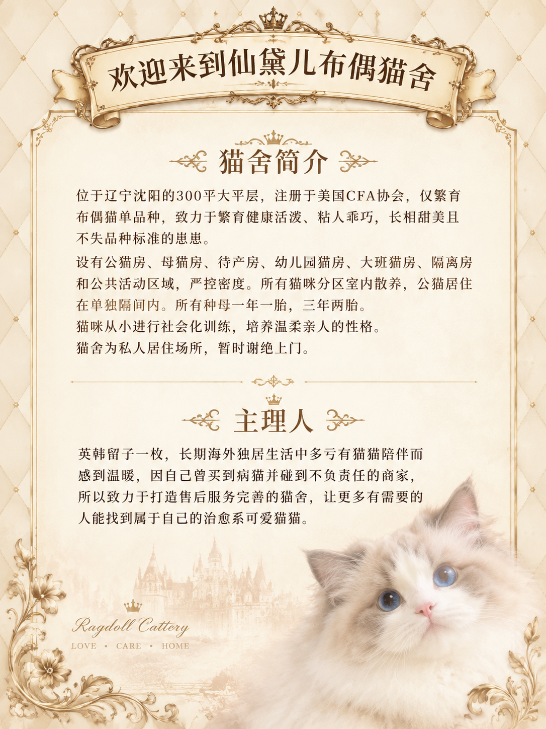 欧式复古轻奢风格猫舍介绍图，竖版3:4比例。米金色菱格纹理背景… - 图片创意预览