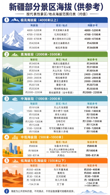 预览效果