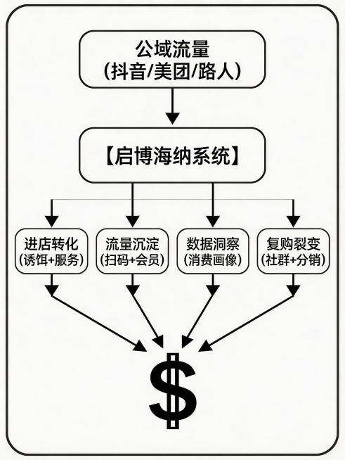 全流程导图，用箭头依次串联环节：最上方是"公域流量（抖音/美团/路人）"，往下箭头指向"【启博海纳系统】"，再往下箭头依次指向"进店转化（诱饵+服务）"、"流量沉淀（扫码+会员）"、"数据洞察（消费画预览效果