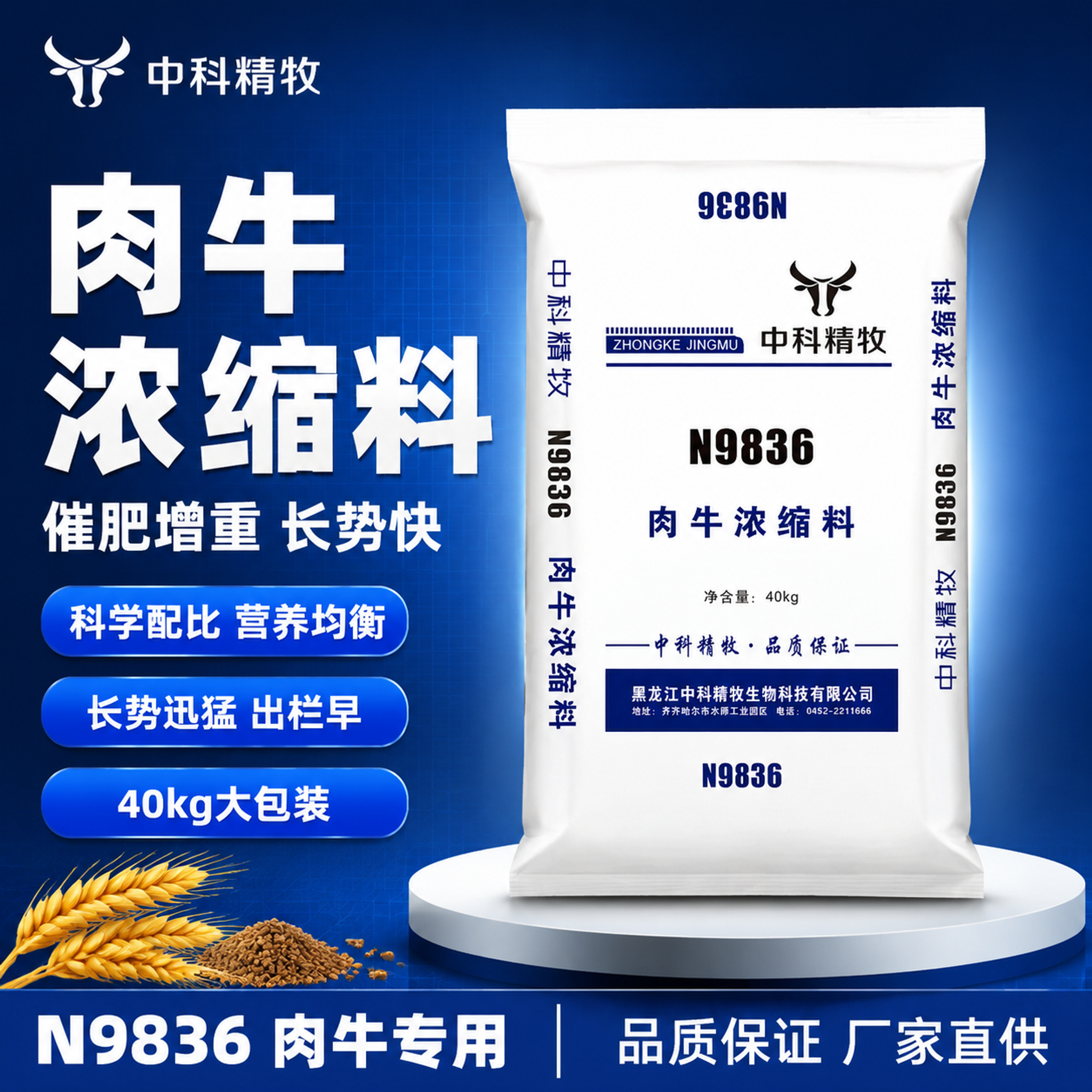 [单张主图] 中科精牧N9836肉牛浓缩料 爆款促销感主图 淘… - 图片创意预览