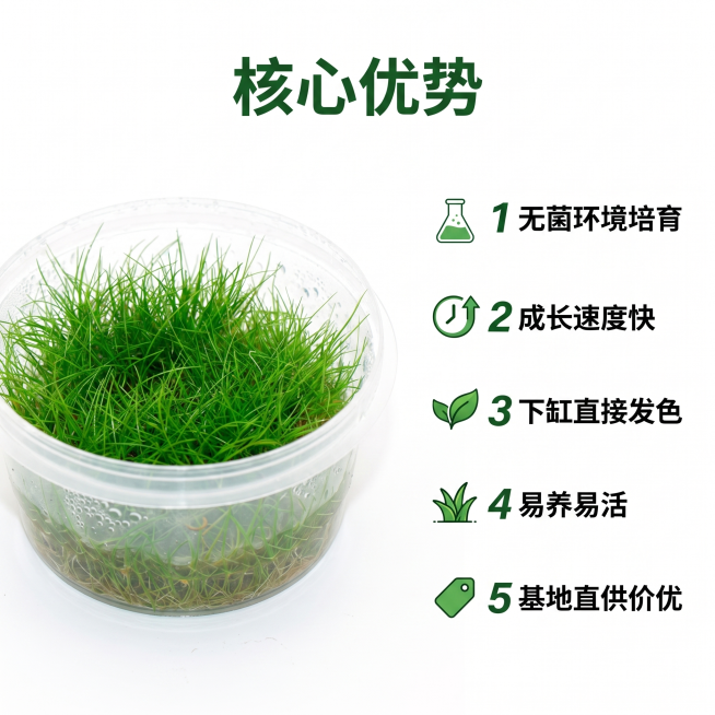 确认预览效果