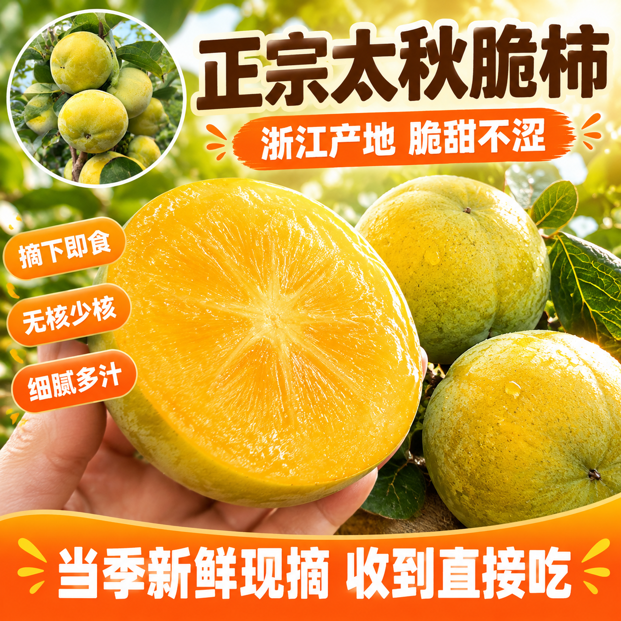 [主图-1] 拼多多爆款首图，核心任务是突出浙江太秋甜脆柿的食… - 图片创意预览