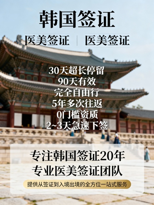再帮我生成10张，第一排请保持只有“韩国签证”预览效果