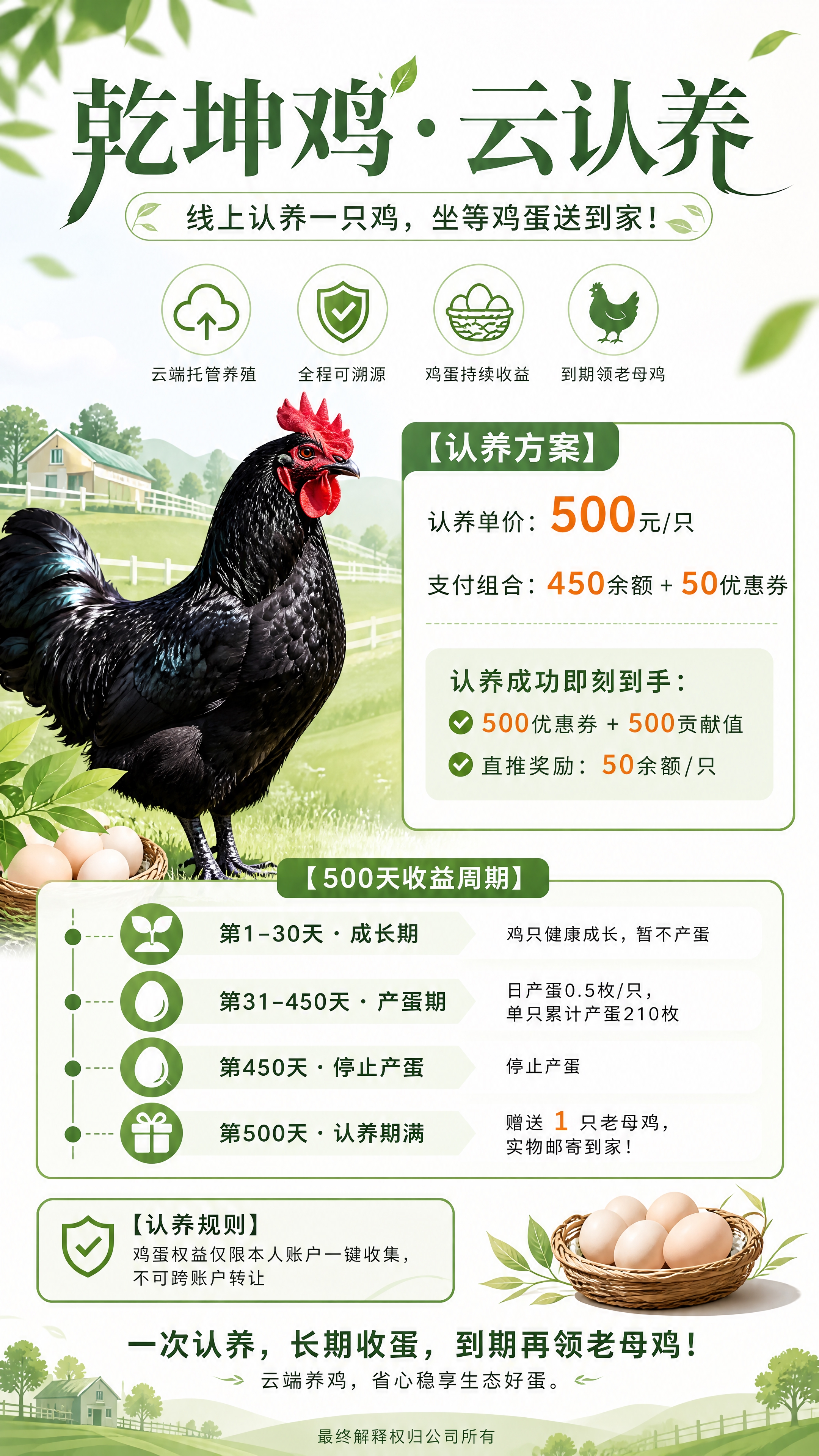 重新设计一张9:16竖版「乾坤鸡・云认养」易拉宝海报，整体风格… - 图片创意预览