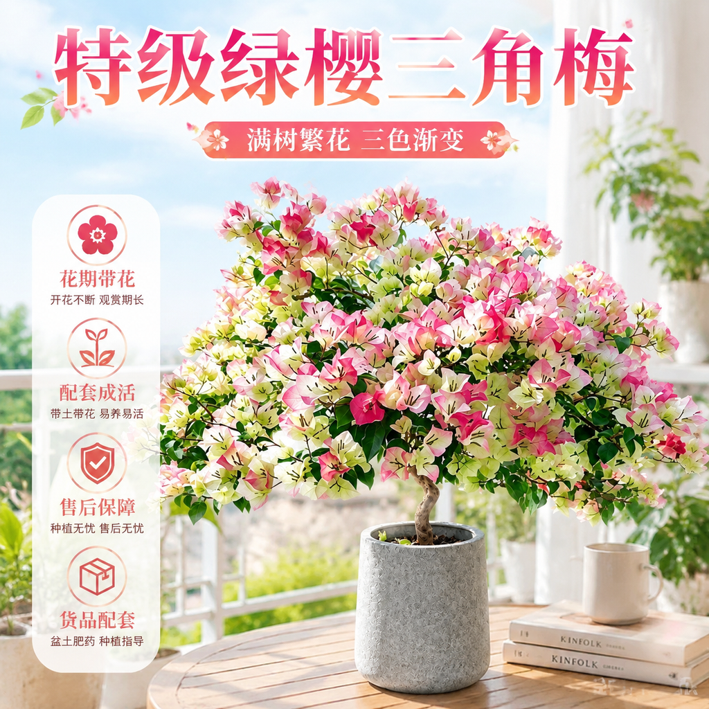 保留图中的特级绿樱三角梅盆栽主体，更换为清新明亮的家居阳台背景… - 图片创意预览