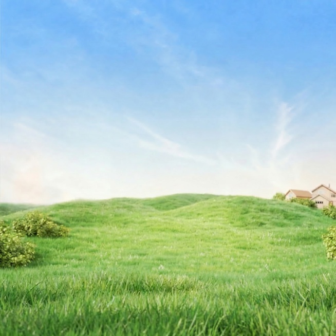 去掉产品预览效果