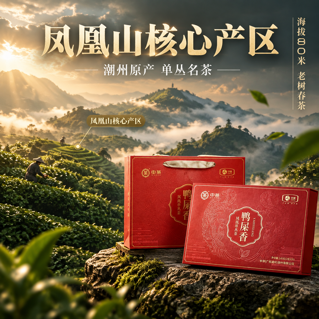 [主图-2 1:1] 核心亮点 产地溯源 潮州凤凰山 [统一基… - 图片创意预览