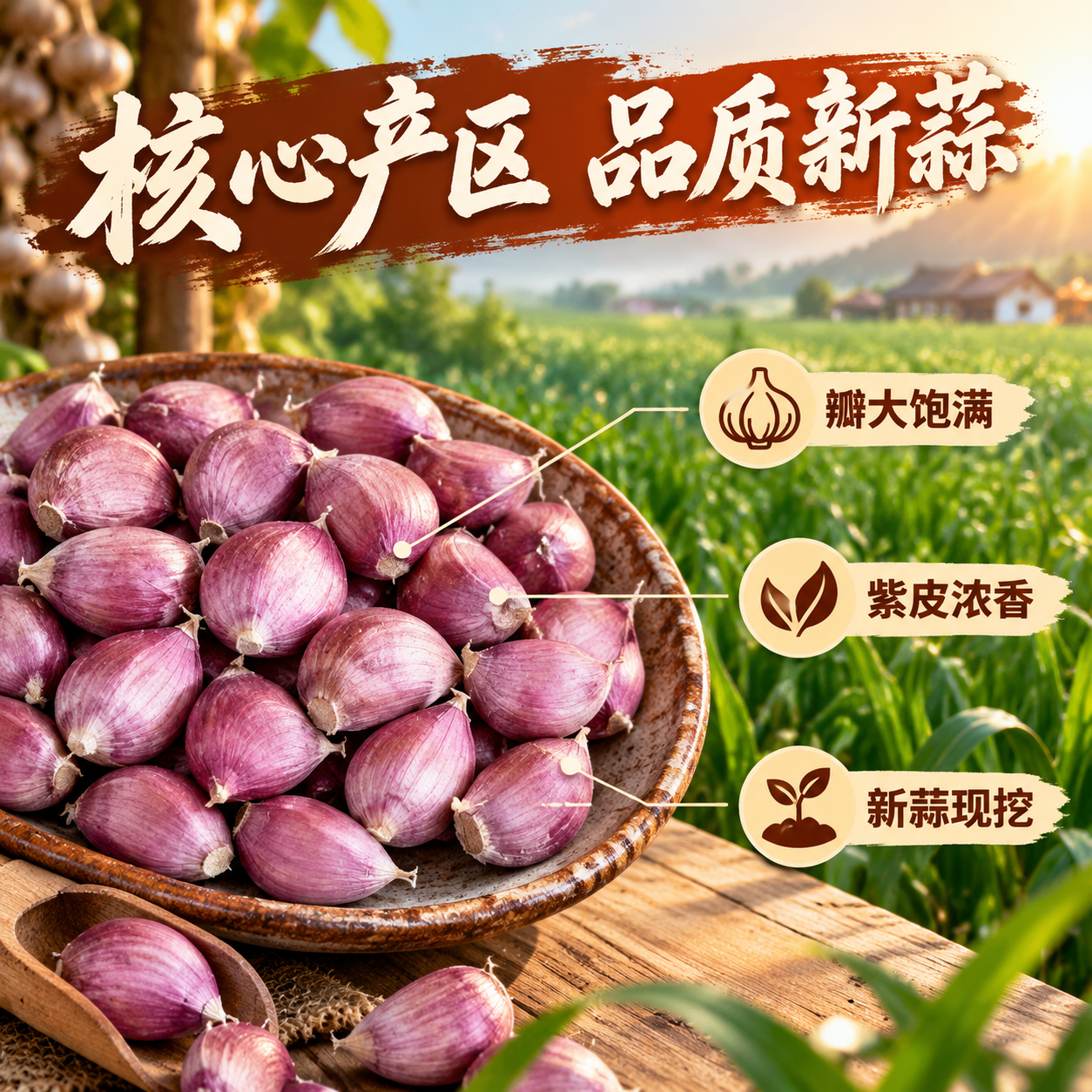[主图-2] 核心亮点与溯源，展示紫皮大蒜瓣产地与品质优势，建… - 图片创意预览