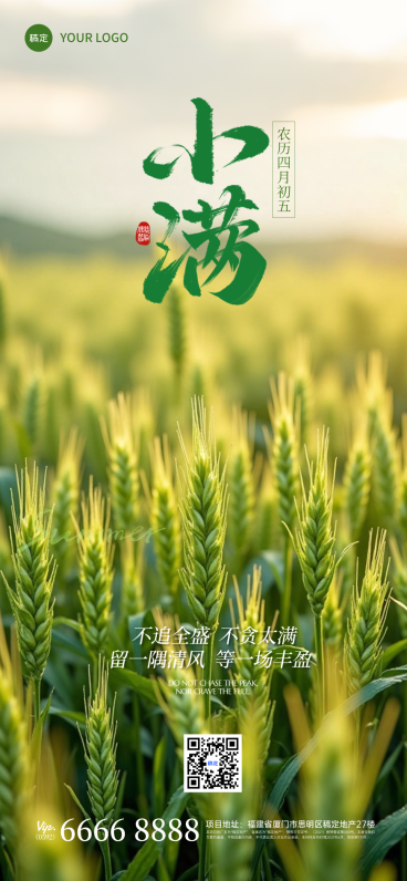 小满节气夏日企业朋友圈中国风全屏竖版海报预览效果