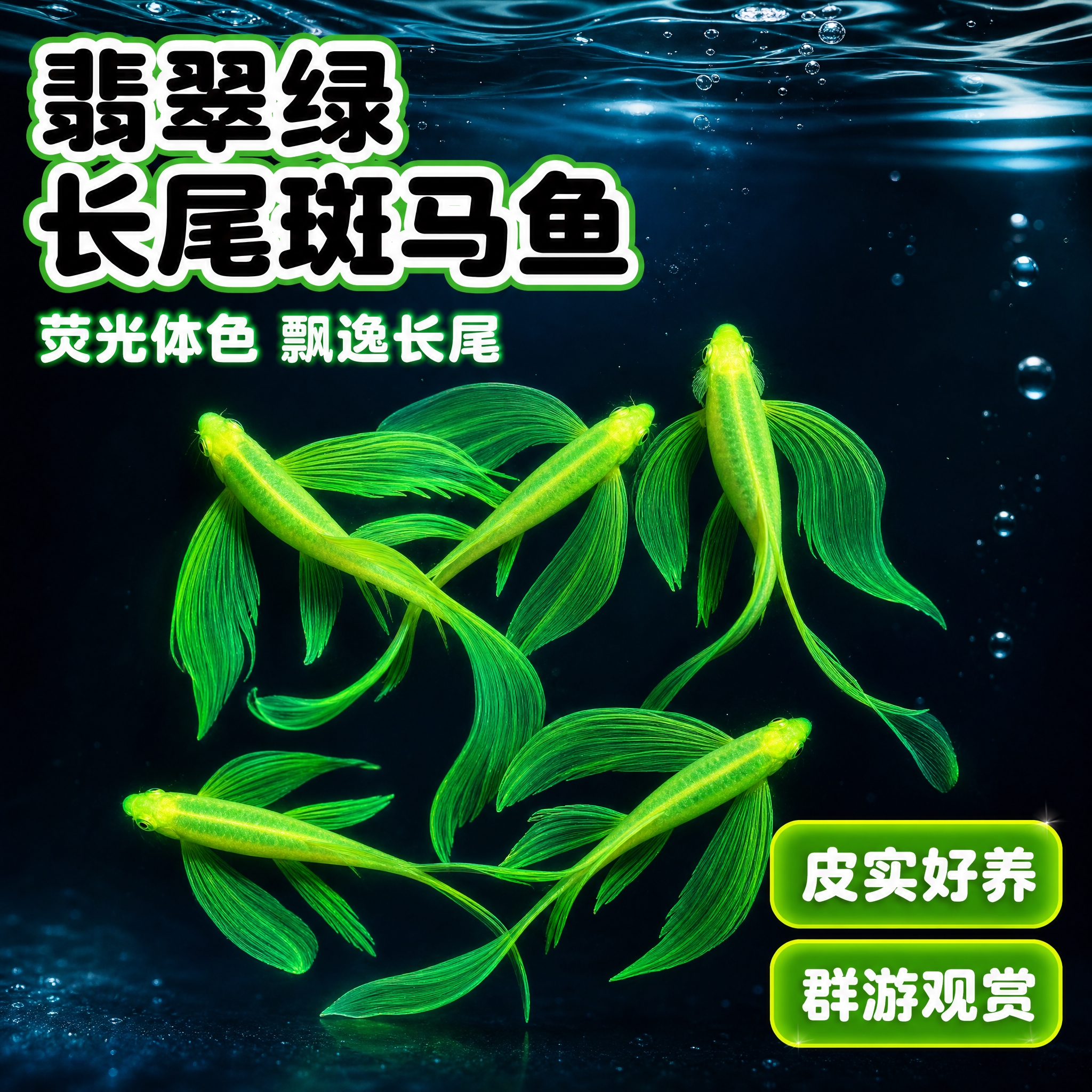 [主图-1] 翡翠绿长尾斑马鱼首图 突出荧光翡翠绿体色和飘逸长… - 图片创意预览