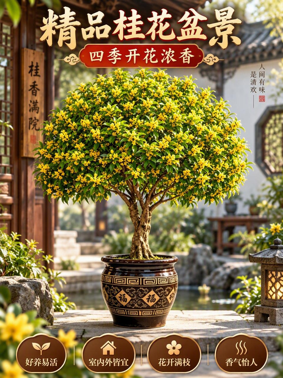 淘宝天猫电商主图，3:4竖版比例，画面主体是一盆盛开的金黄色桂… - 图片创意预览