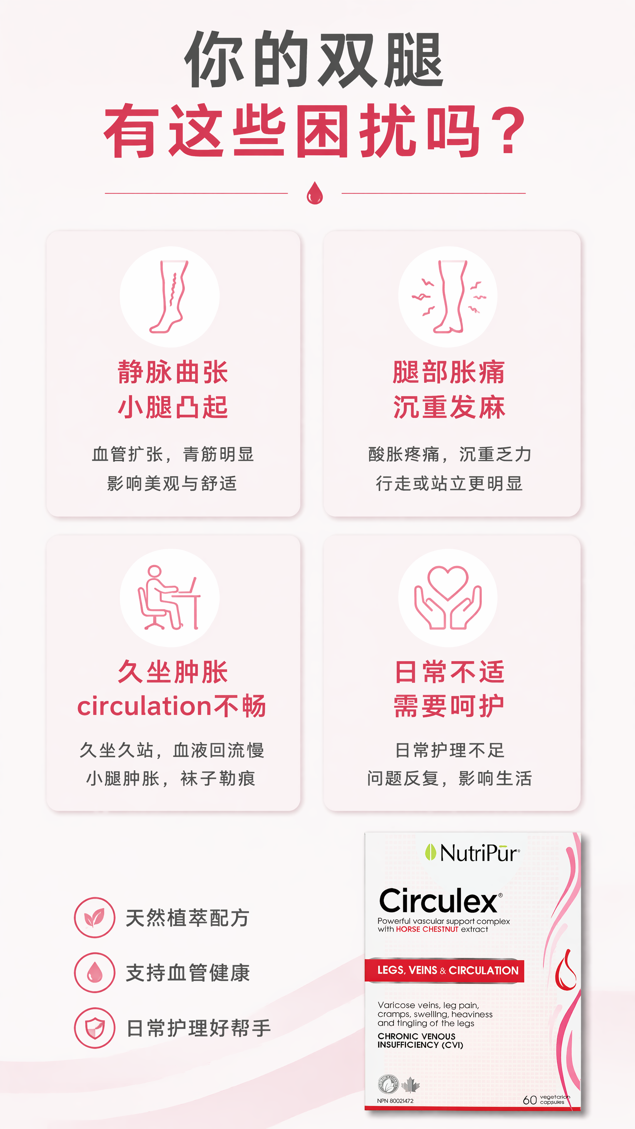 [第2屏] 痛点直击页-列出腿部静脉常见不适问题，展示用户痛点… - 图片创意预览