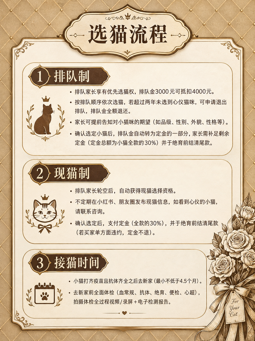 欧式复古轻奢风格选猫流程图，竖版3:4比例。米金色菱格纹理背景… - 图片创意预览